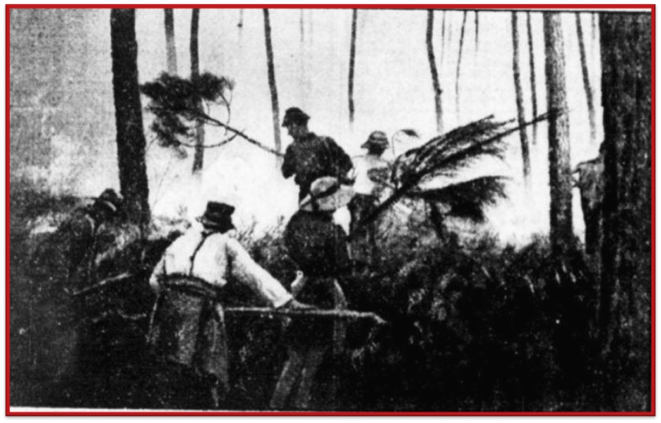 Après l’incendie de 1949, une mission : reboiser les Landes